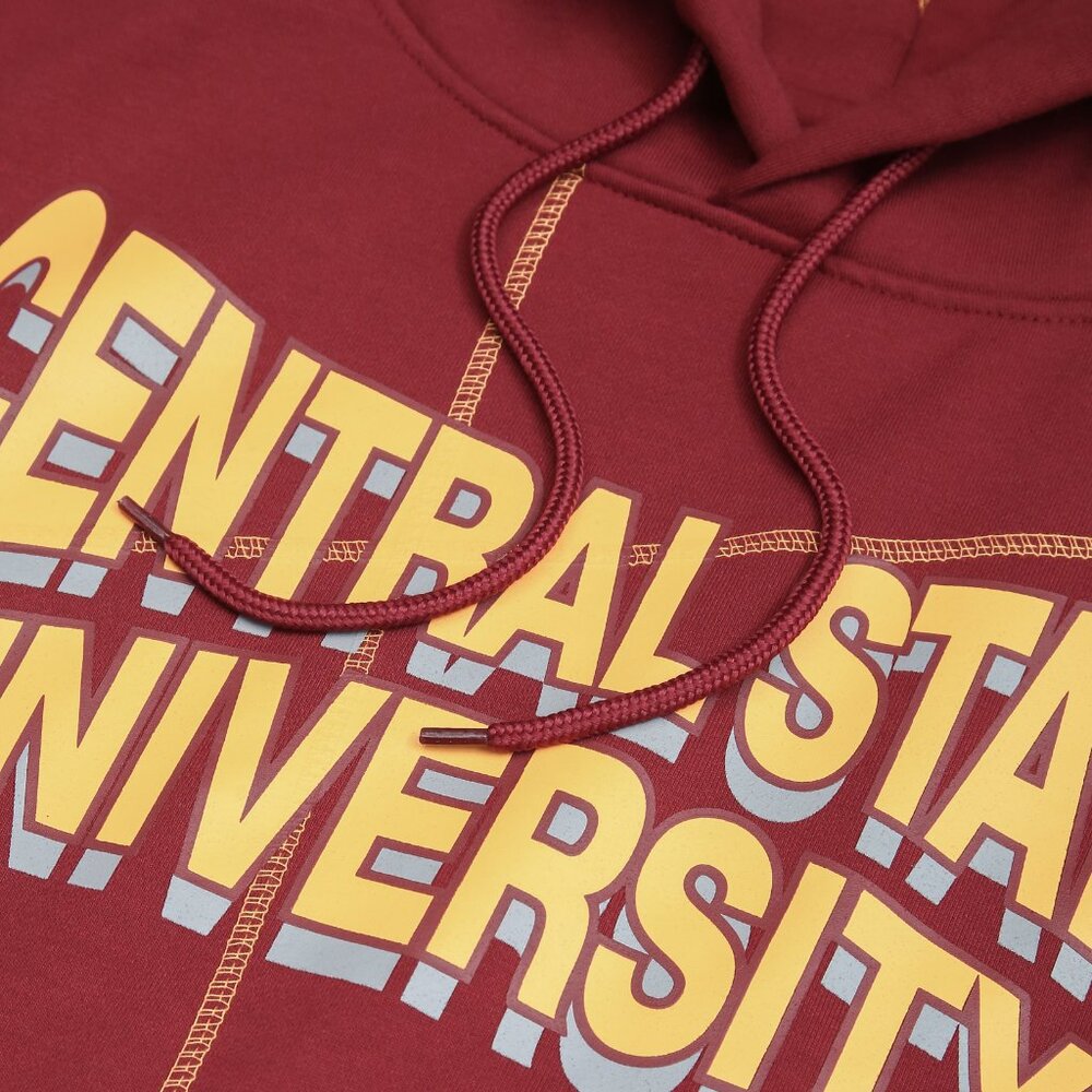 AACA Central State University Sweatwear Men's Heavyweight Hoodie - Picture 7 of 8